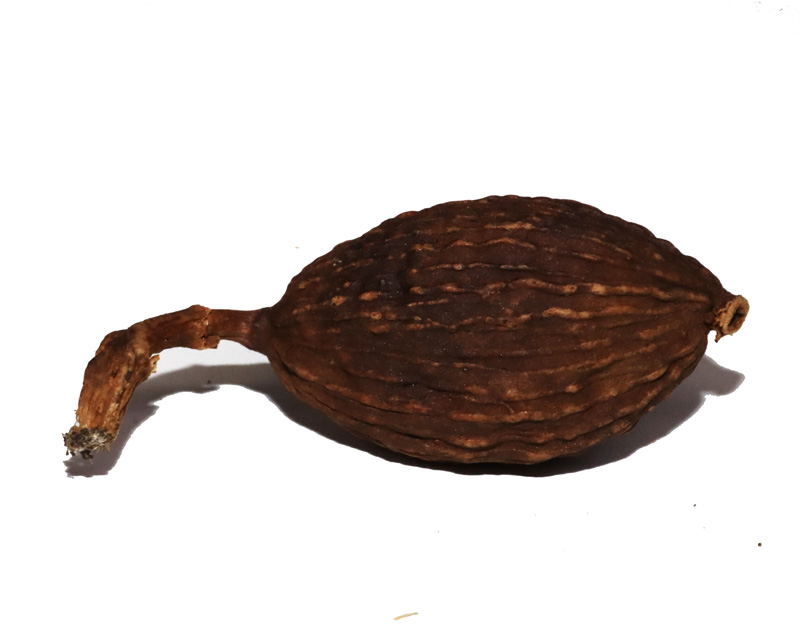 草果