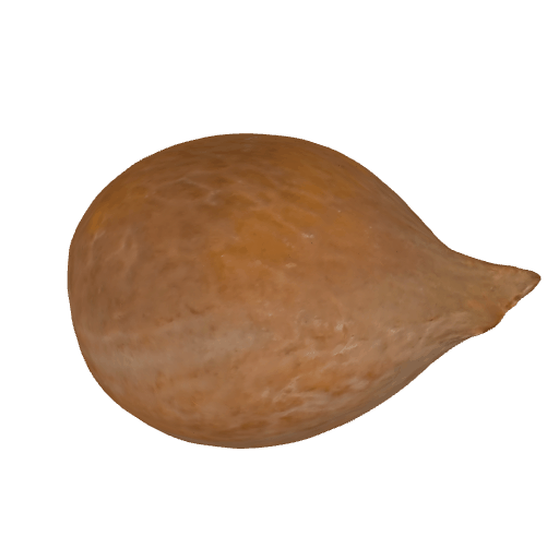 铁树
