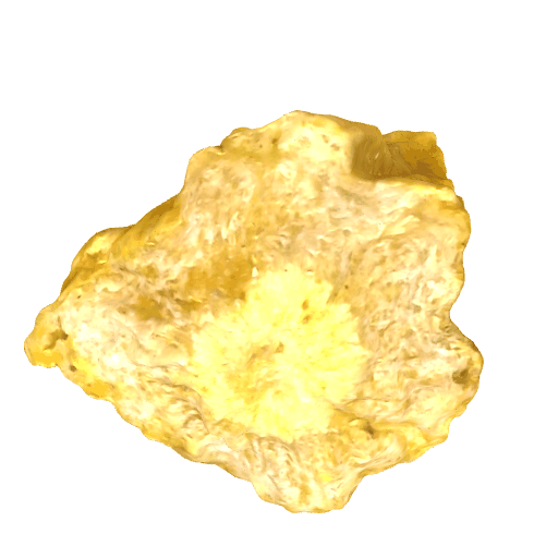 党参