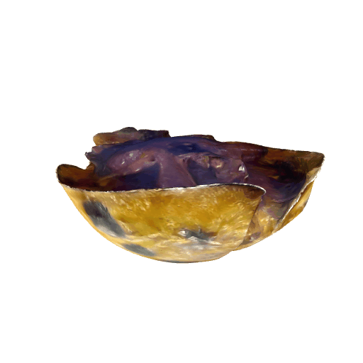 瓢虫