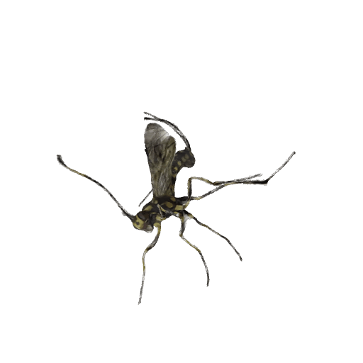 申公豹虫