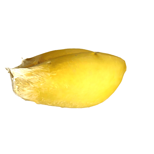 麦粒-F