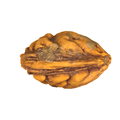 桃核