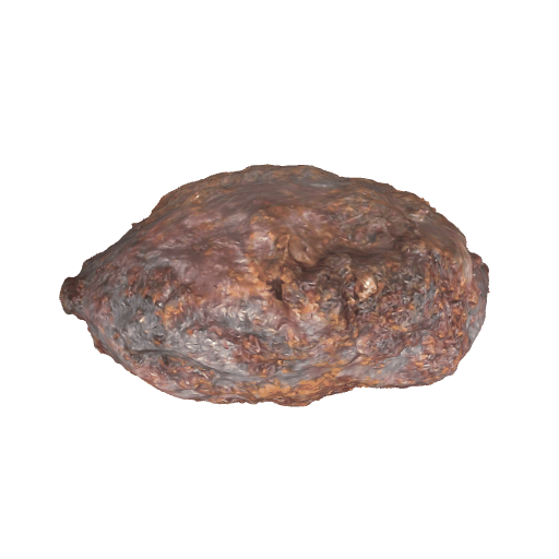 玉兰种子
