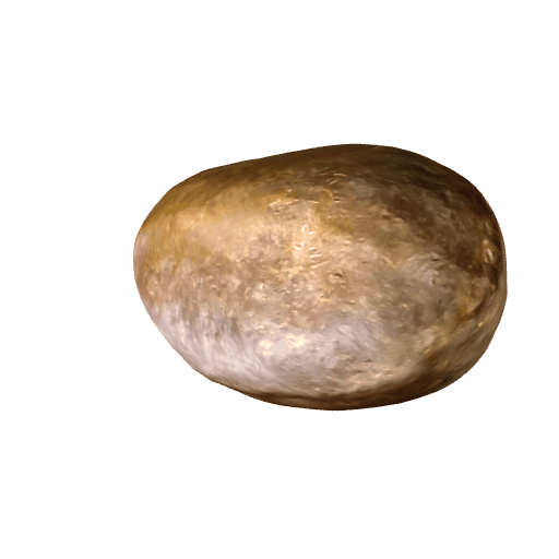 番茄枝