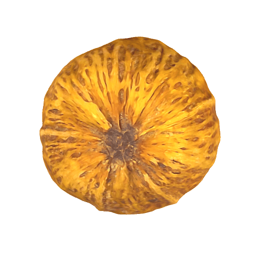 龙胆菩提